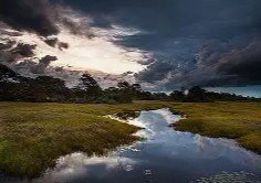 Cerrado ao amanhecer